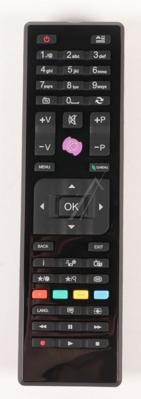 30124591 R/ C 4875 SCHWARZ OHNE MARKE ROH_WDOT