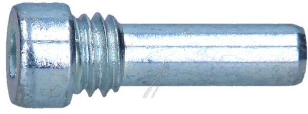C00324639 481010493638 STIFT SCHARNIER
