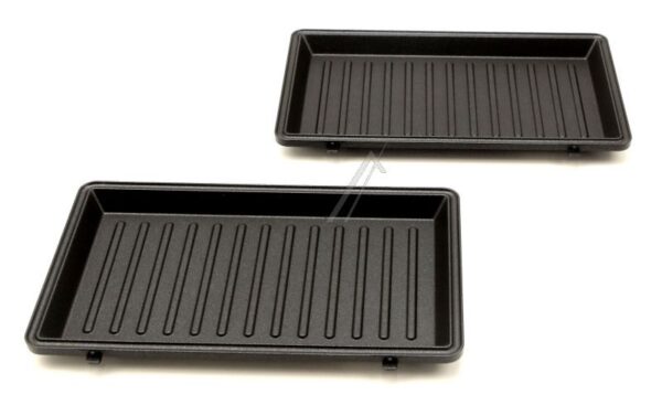642001006316 GRILLPLATTE (X2)
